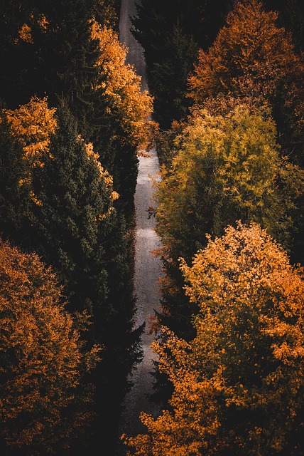 Mindfulness w edukacji: Jak wprowadzać uważność do sali lekcyjnej?